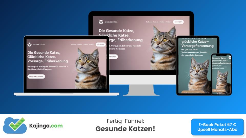 Gesunde Katzen