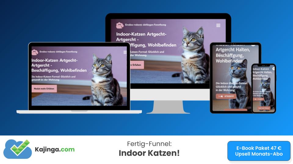 Indoor Katzen