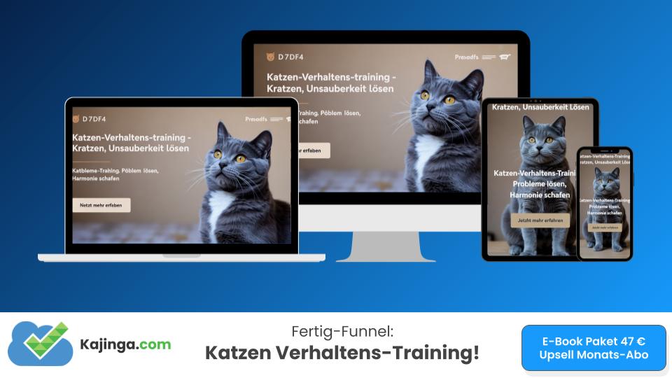 Katzen-Training